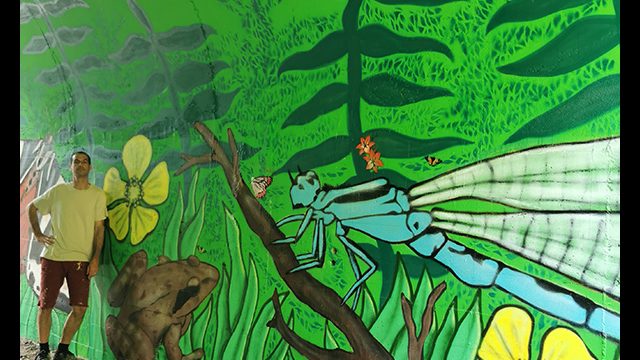 Fresque de l'artiste graffeur Oré. Une libellule et une grenouille sont au milieu de la végétation. Fleurs jaunes et feuillages verts en fond. Cette peinture de street art est en Normandie.