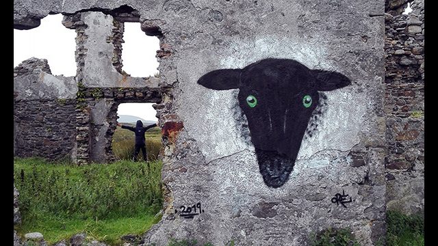 Tête de mouton peinte l'artiste graffeur Oré en Irlande, sur une maison abandonnée.