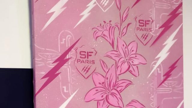 Tableau street art de l'artiste graffeur Oré. Exposition d'art à Paris.